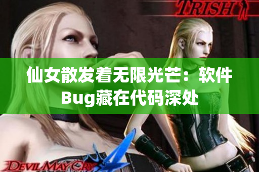 仙女散发着无限光芒：软件Bug藏在代码深处