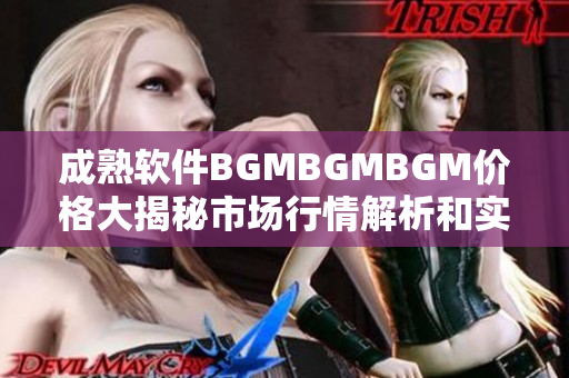 成熟软件BGMBGMBGM价格大揭秘市场行情解析和实用推荐