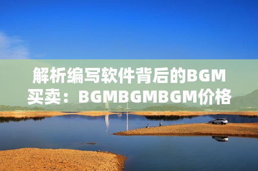 解析编写软件背后的BGM买卖：BGMBGMBGM价格调查与分析