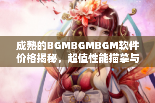 成熟的BGMBGMBGM软件价格揭秘，超值性能描摹与实战对比