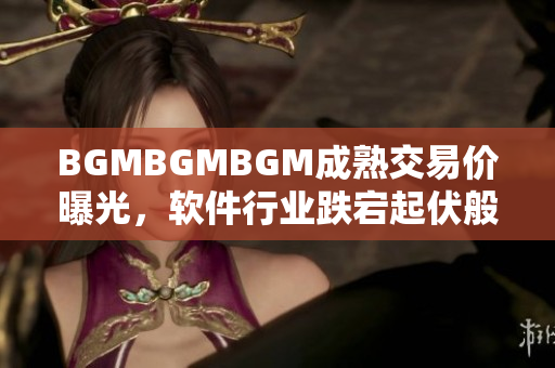 BGMBGMBGM成熟交易价曝光，软件行业跌宕起伏般变化