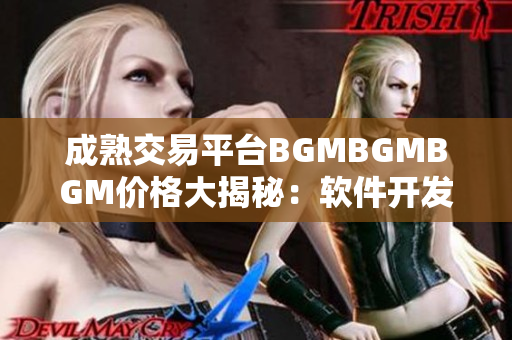 成熟交易平台BGMBGMBGM价格大揭秘：软件开发者的必备利器