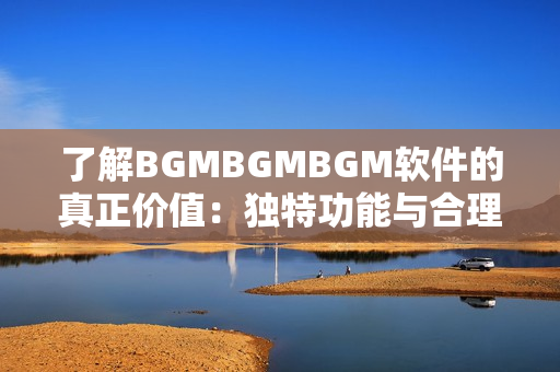 了解BGMBGMBGM软件的真正价值：独特功能与合理价格