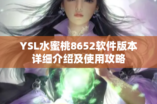 YSL水蜜桃8652软件版本详细介绍及使用攻略