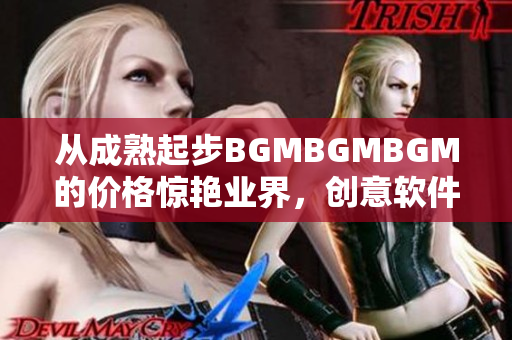 从成熟起步BGMBGMBGM的价格惊艳业界，创意软件必不可少