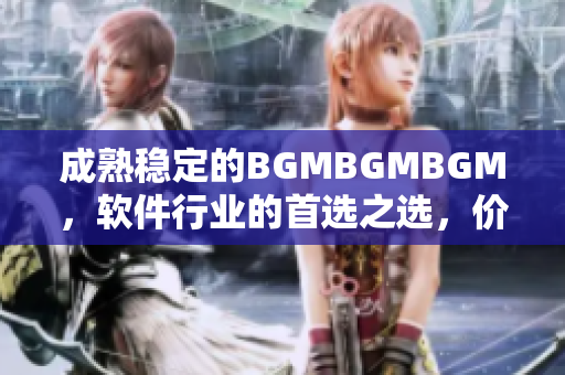 成熟稳定的BGMBGMBGM，软件行业的首选之选，价格揭秘