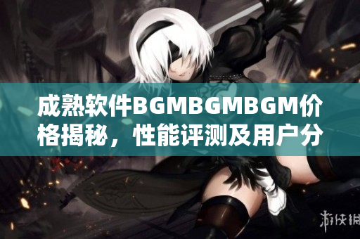 成熟软件BGMBGMBGM价格揭秘，性能评测及用户分享