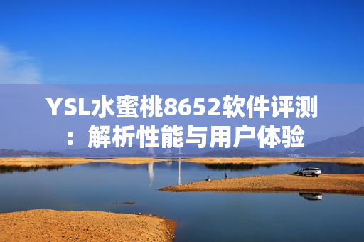 YSL水蜜桃8652软件评测：解析性能与用户体验