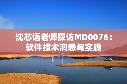 沈芯语老师探访MD0076：软件技术洞悉与实践