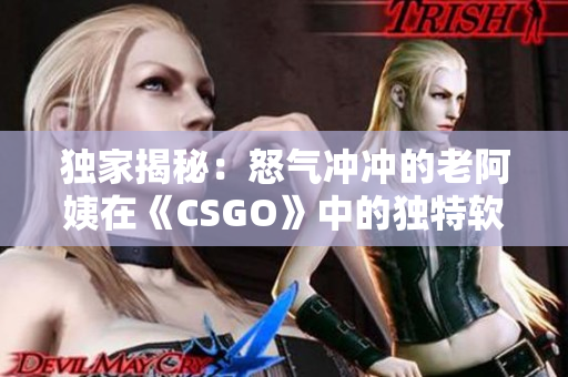 独家揭秘：怒气冲冲的老阿姨在《CSGO》中的独特软件开发经历