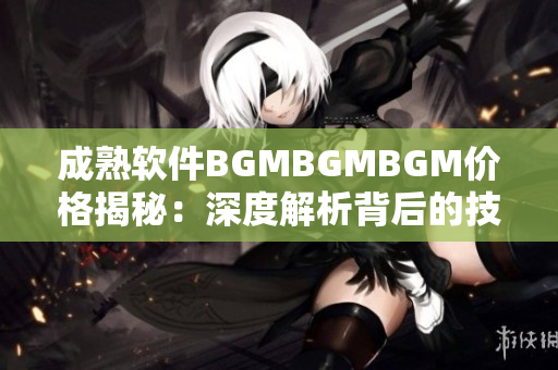 成熟软件BGMBGMBGM价格揭秘：深度解析背后的技术奥秘