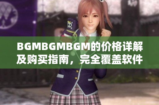 BGMBGMBGM的价格详解及购买指南，完全覆盖软件开发者的最新需求