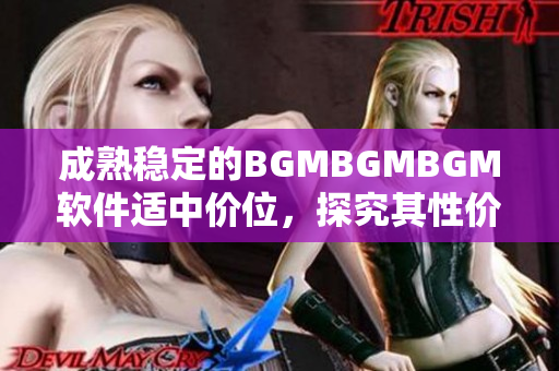 成熟稳定的BGMBGMBGM软件适中价位，探究其性价比的深度评测