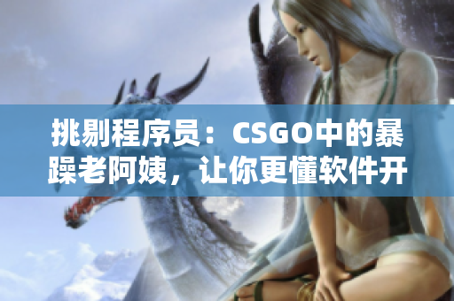 挑剔程序员：CSGO中的暴躁老阿姨，让你更懂软件开发技能