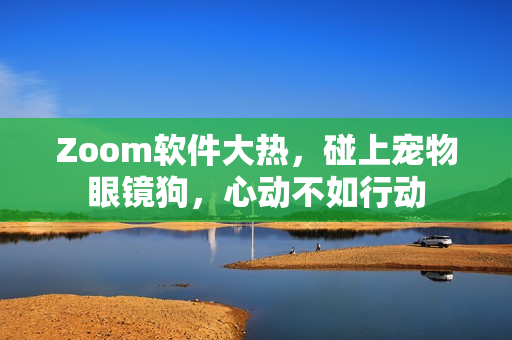 Zoom软件大热，碰上宠物眼镜狗，心动不如行动