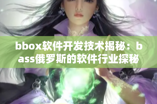 bbox软件开发技术揭秘：bass俄罗斯的软件行业探秘