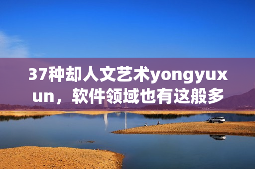 37种却人文艺术yongyuxun，软件领域也有这般多变！