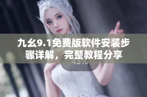 九幺9.1免费版软件安装步骤详解，完整教程分享