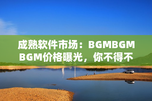 成熟软件市场：BGMBGMBGM价格曝光，你不得不知的行情详情