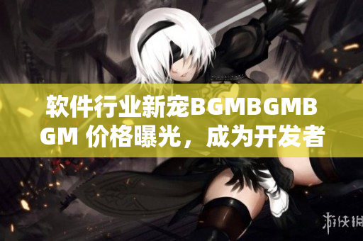 软件行业新宠BGMBGMBGM 价格曝光，成为开发者们的新宠儿