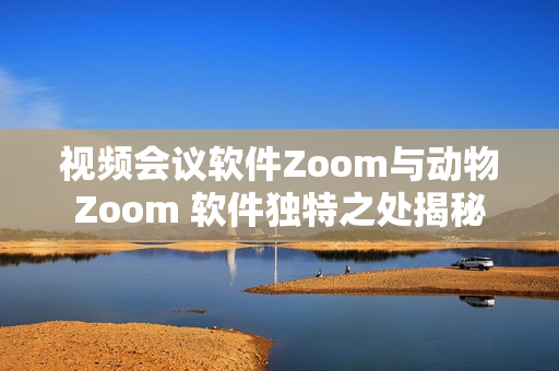 视频会议软件Zoom与动物Zoom 软件独特之处揭秘