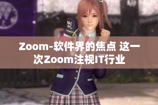 Zoom-软件界的焦点 这一次Zoom注视IT行业