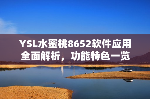 YSL水蜜桃8652软件应用全面解析，功能特色一览