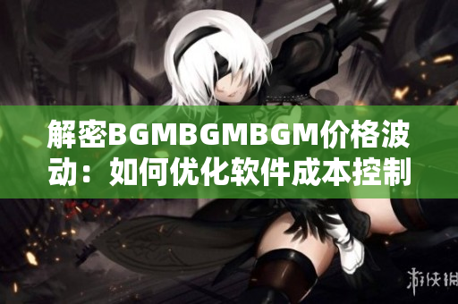 解密BGMBGMBGM价格波动：如何优化软件成本控制策略？