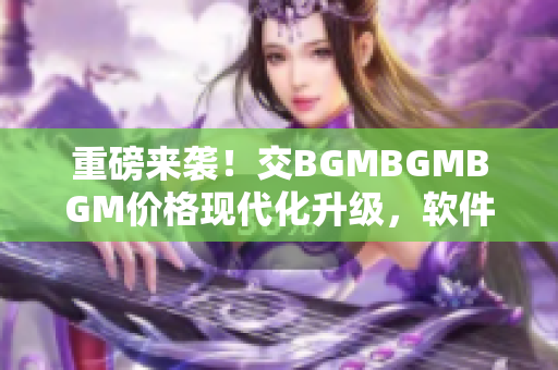 重磅来袭！交BGMBGMBGM价格现代化升级，软件行业迎来新机遇