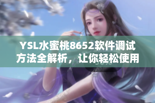 YSL水蜜桃8652软件调试方法全解析，让你轻松使用软件！