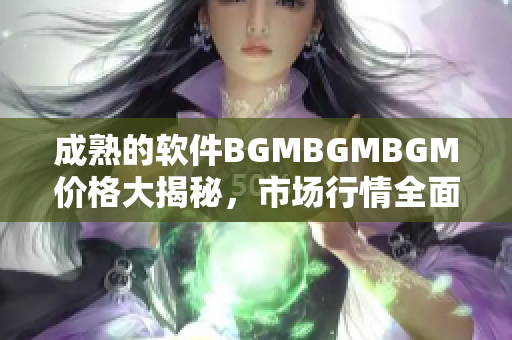 成熟的软件BGMBGMBGM价格大揭秘，市场行情全面分析