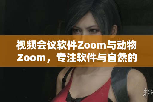 视频会议软件Zoom与动物Zoom，专注软件与自然的相遇