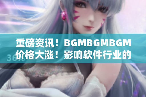 重磅资讯！BGMBGMBGM价格大涨！影响软件行业的未来发展！