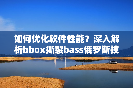 如何优化软件性能？深入解析bbox撕裂bass俄罗斯技术