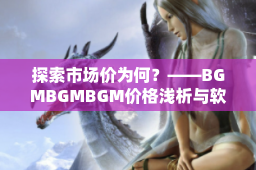 探索市场价为何？——BGMBGMBGM价格浅析与软件产业联动分析