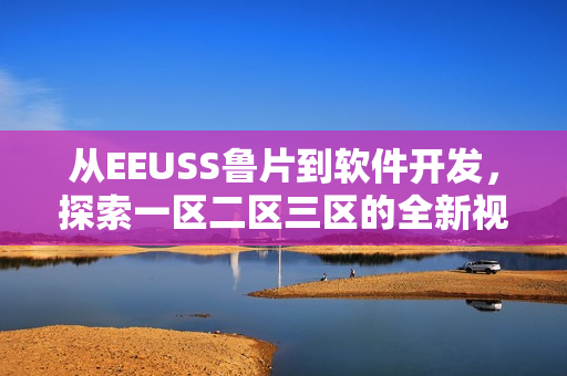 从EEUSS鲁片到软件开发，探索一区二区三区的全新视角