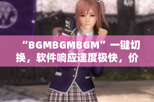 “BGMBGMBGM”一键切换，软件响应速度极快，价格亲民！