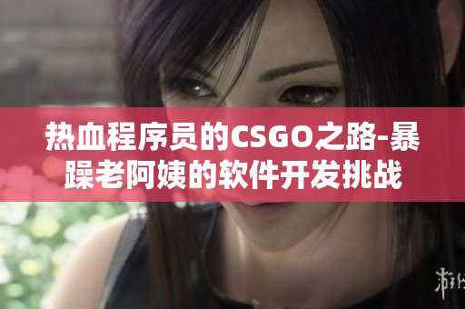 热血程序员的CSGO之路-暴躁老阿姨的软件开发挑战