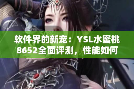 软件界的新宠：YSL水蜜桃8652全面评测，性能如何？