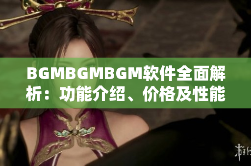 BGMBGMBGM软件全面解析：功能介绍、价格及性能评测