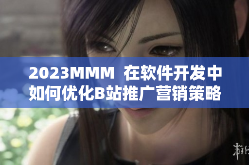 2023MMM  在软件开发中如何优化B站推广营销策略？