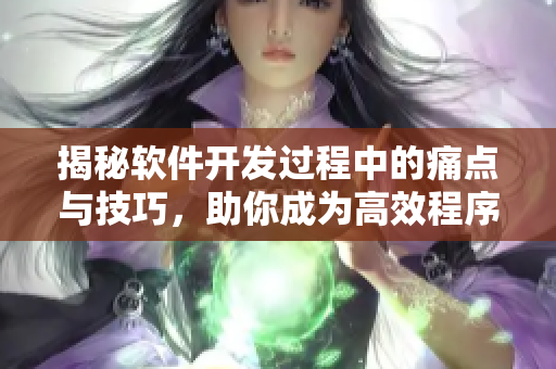 揭秘软件开发过程中的痛点与技巧，助你成为高效程序员