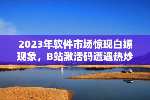 2023年软件市场惊现白嫖现象，B站激活码遭遇热炒！