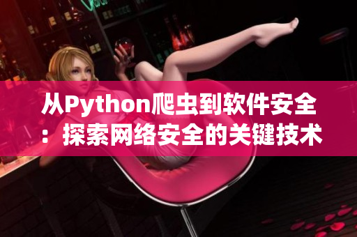 从Python爬虫到软件安全：探索网络安全的关键技术