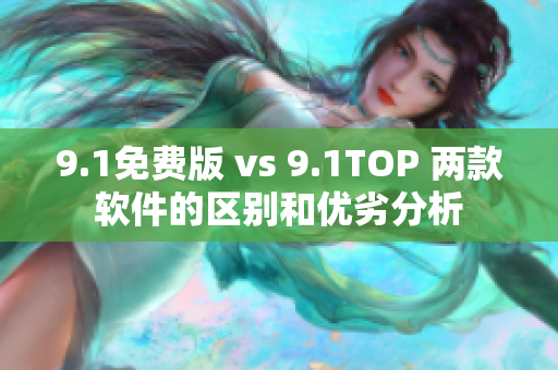 9.1免费版 vs 9.1TOP 两款软件的区别和优劣分析