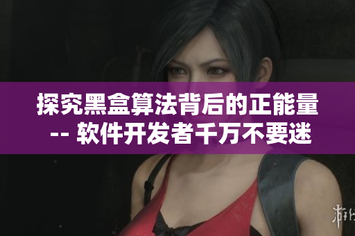 探究黑盒算法背后的正能量 -- 软件开发者千万不要迷路！