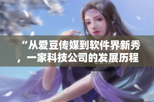 “从爱豆传媒到软件界新秀，一家科技公司的发展历程”