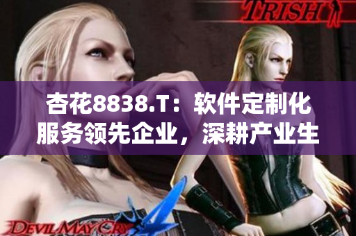 杏花8838.T：软件定制化服务领先企业，深耕产业生态系统！