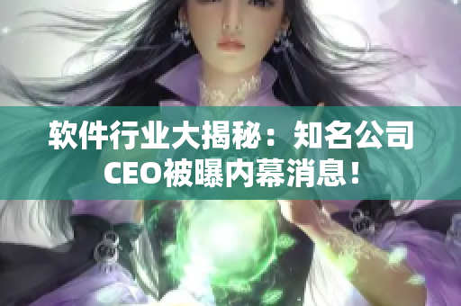 软件行业大揭秘：知名公司CEO被曝内幕消息！